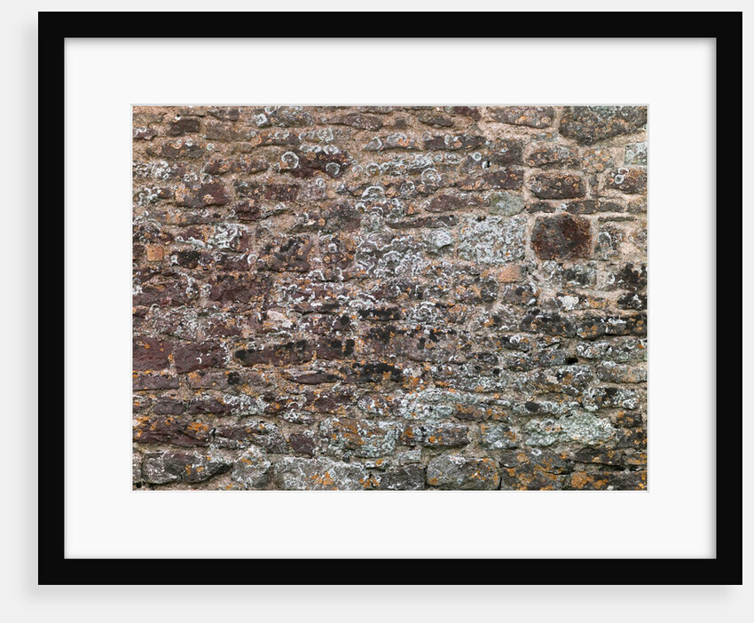 Old brick wall by Assaf Frank